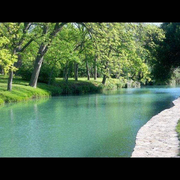 Meet your Posher, Virgie - Picture 5 of 6